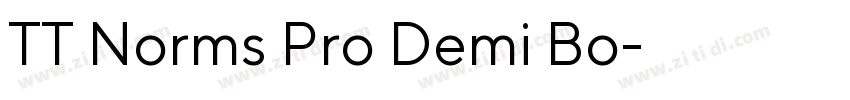 TT Norms Pro Demi Bo字体转换